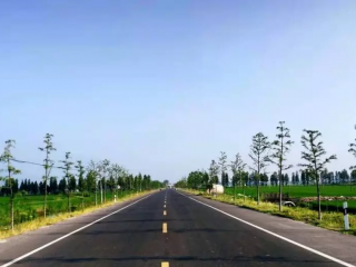 臨泉邢塘至楊橋道路建設(shè)工程